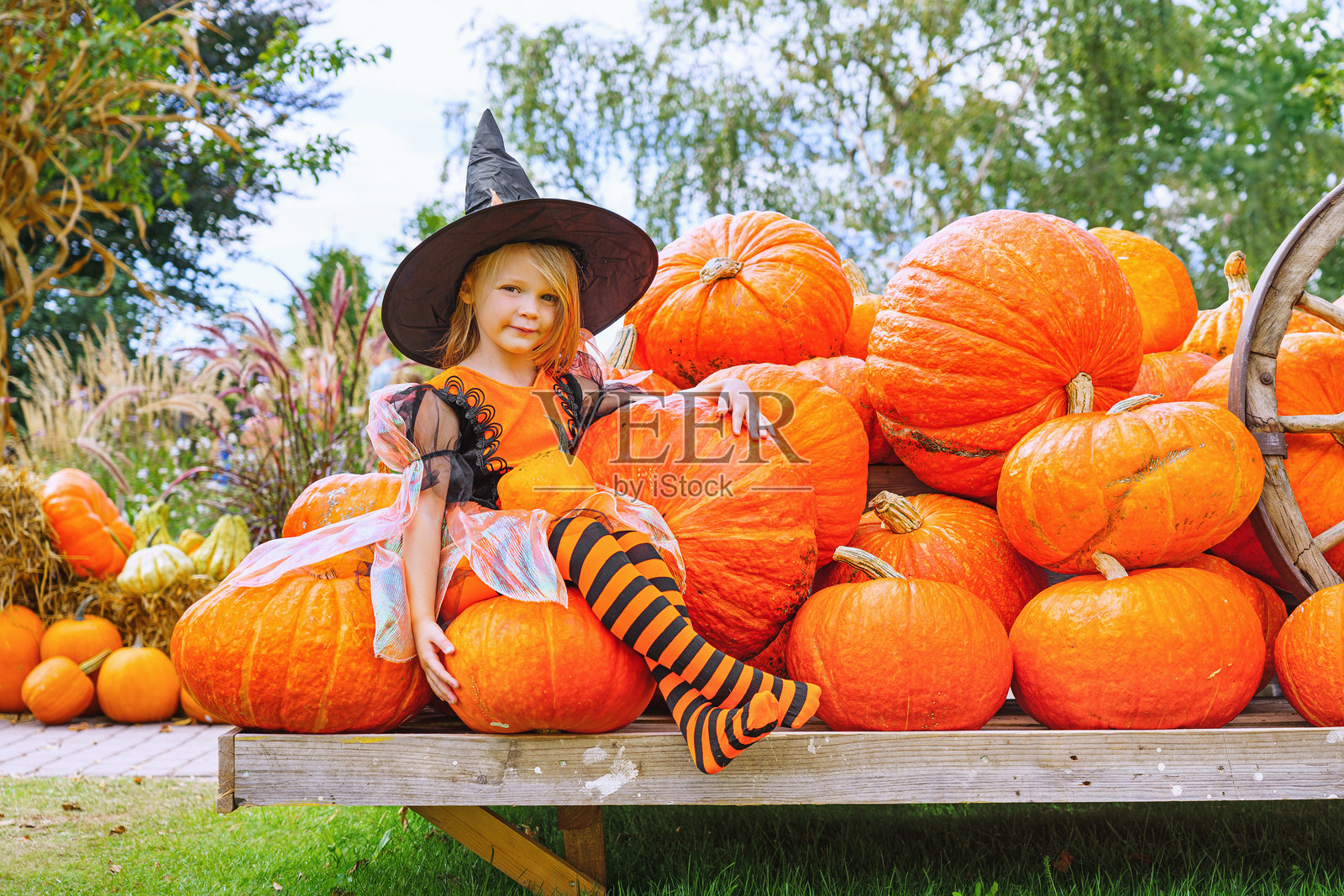 小女孩装扮成可爱的小女巫，手里拿着南瓜，在农场集市的户外。照片摄影图片