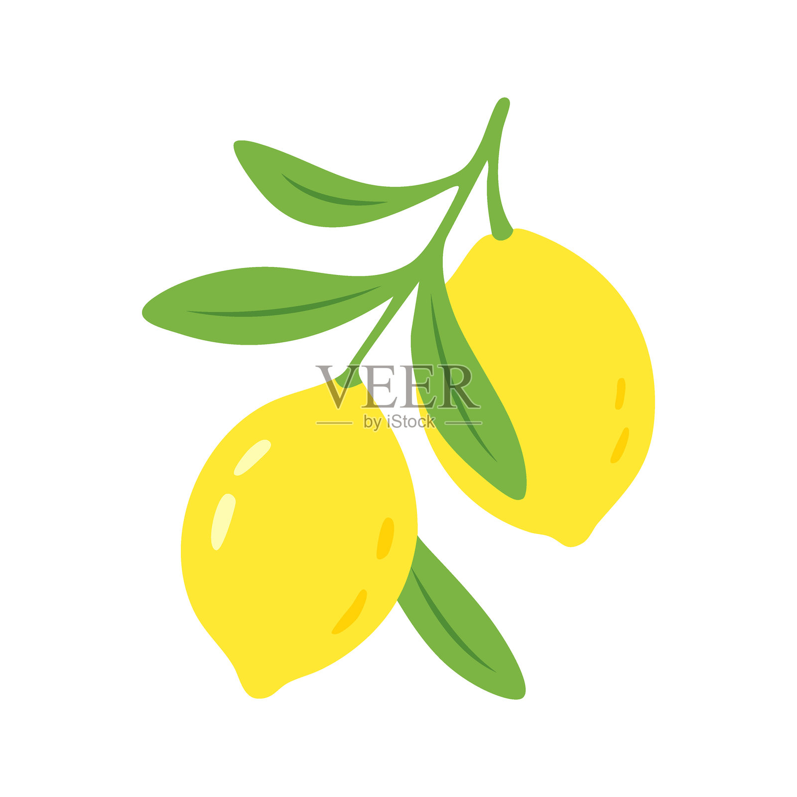 新鲜的黄色柠檬与绿色叶子枝条，极简矢量卡通风格插画图片素材