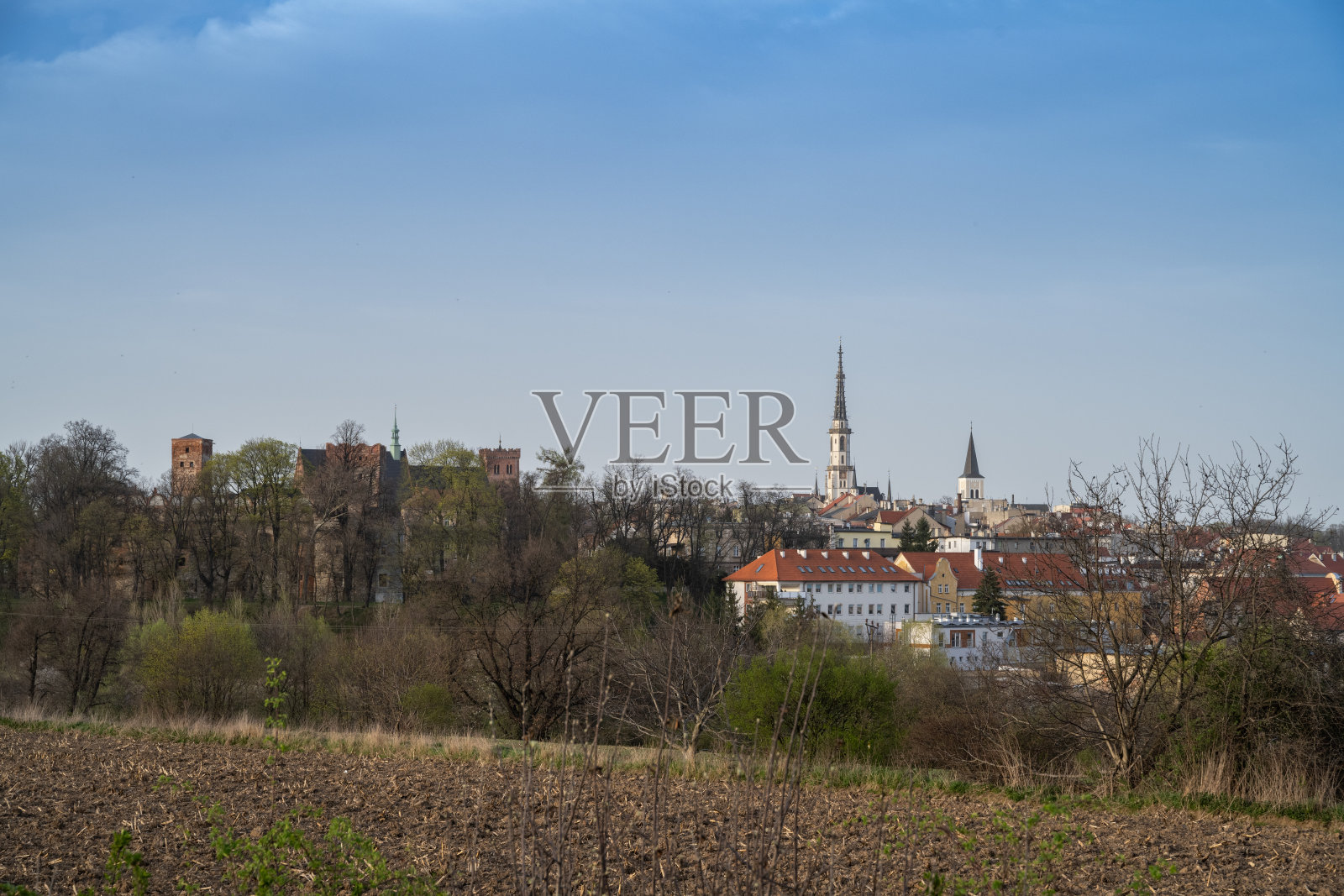 Zabkowice Slaskie，波兰下西里西亚小镇全景照片摄影图片