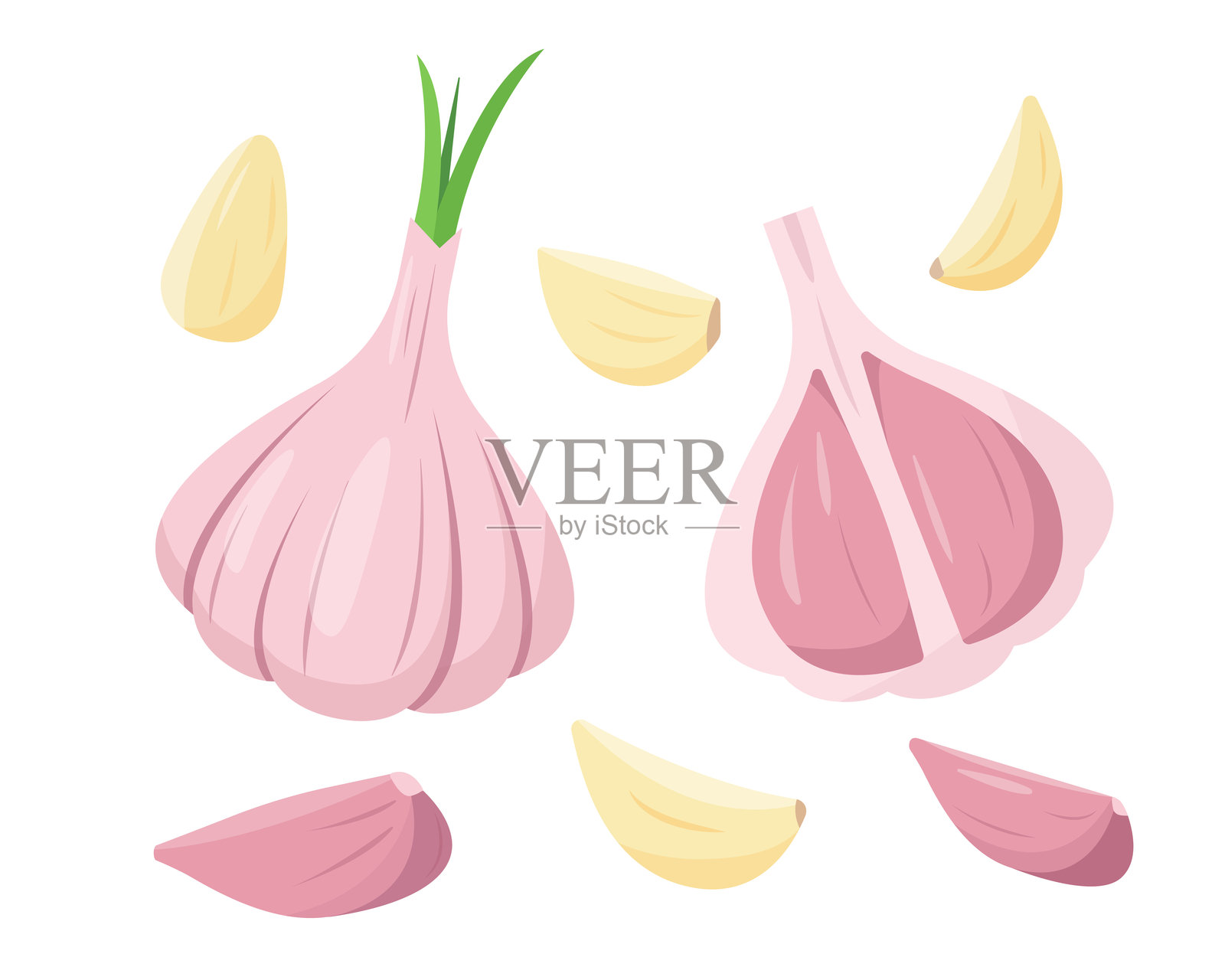 新鲜大蒜，整颗、半颗和切片。带皮的蒜头和蒜瓣。烹饪食材，香料。有机食品。插画图片素材