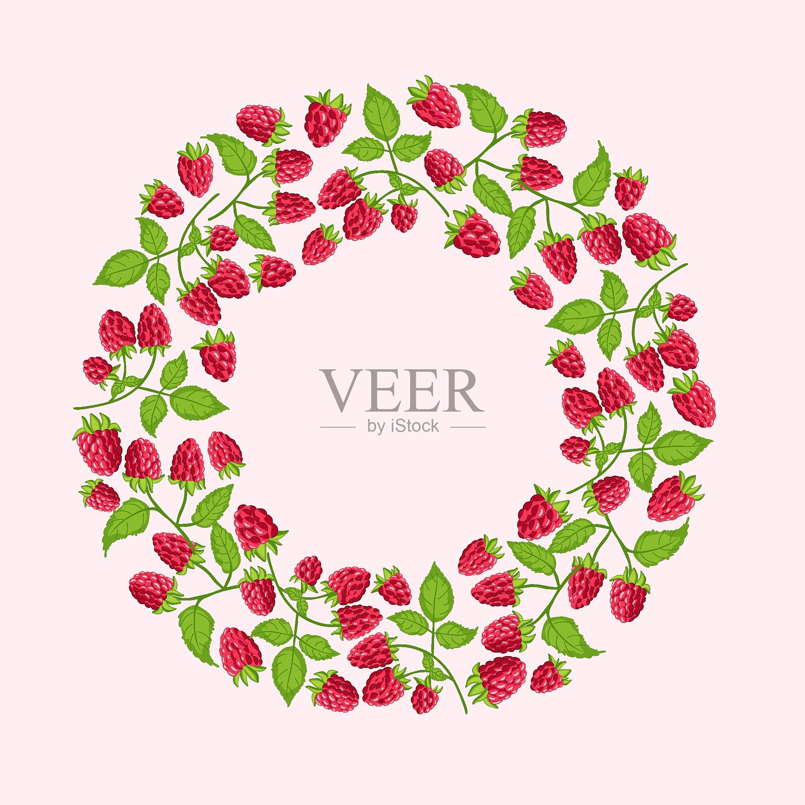 圆形的覆盆子果实花环。多汁的浆果，手绘。插画图片素材