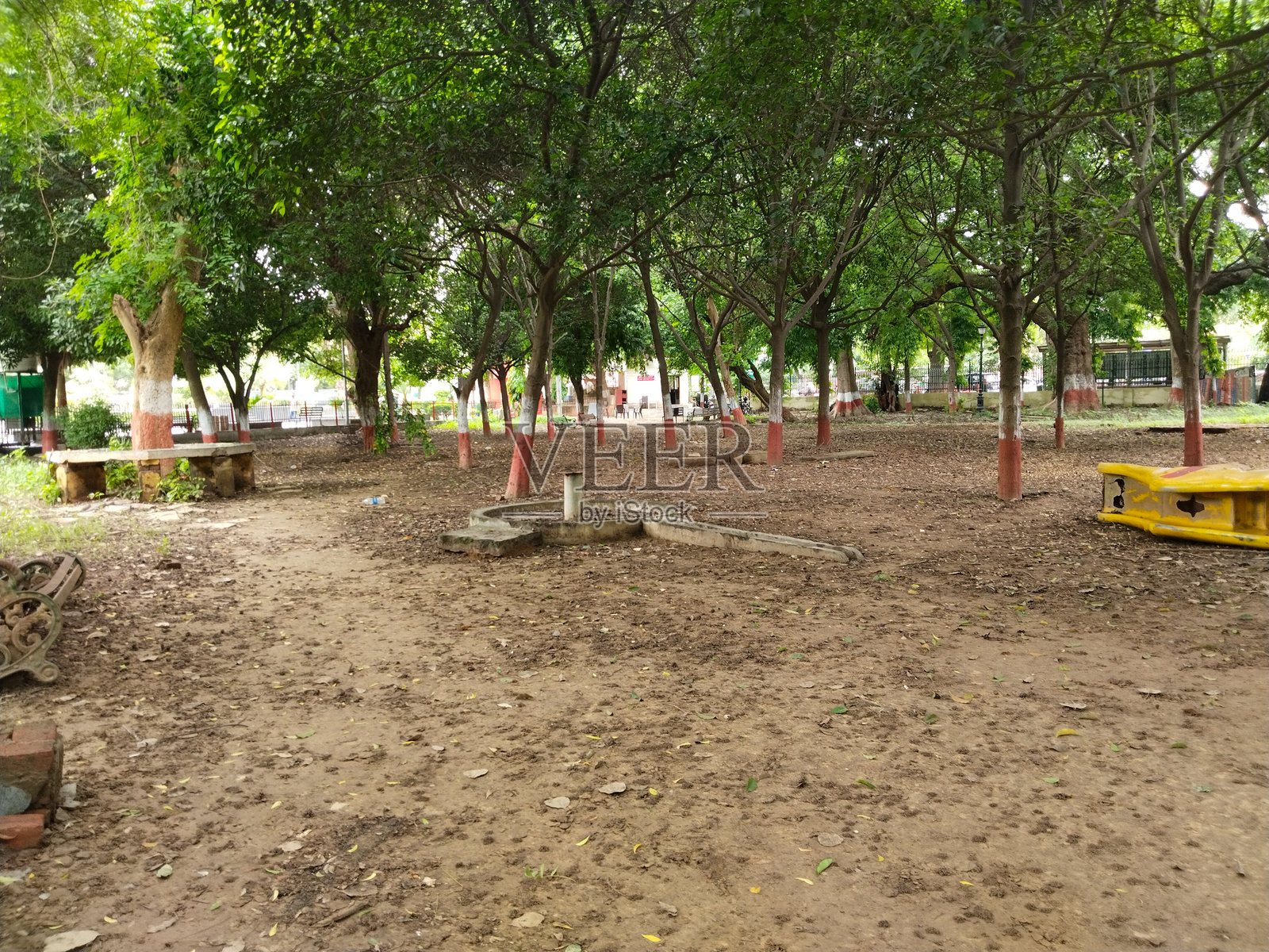 公共公园内的阴凉树区，树干涂有红白相间的油漆，暴露的土壤地面，散落的树叶，长椅和游乐设施。照片摄影图片