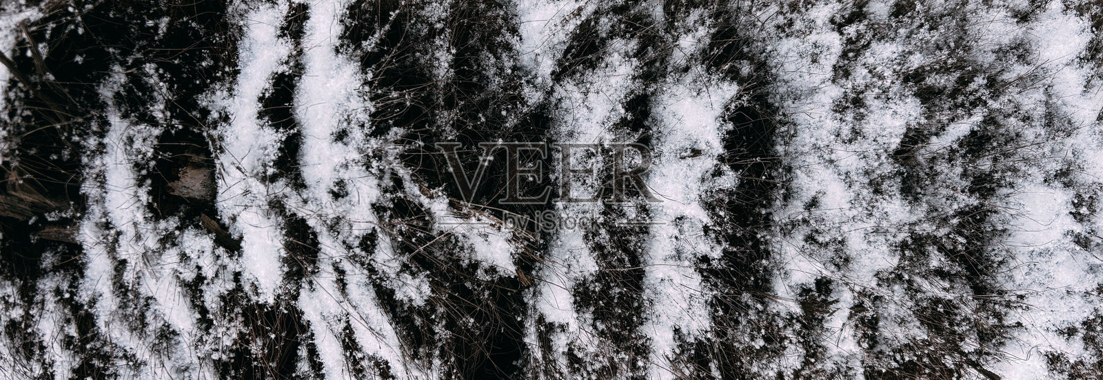 黑色灌木上的雪的抽象纹理照片摄影图片