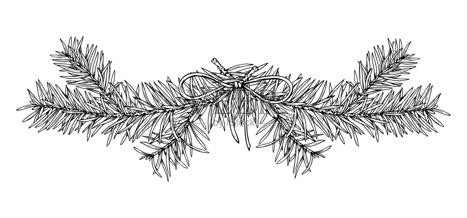 黑色墨水绘制的单色圣诞松枝插图。冬季云杉系着蝴蝶结的蚀刻画，适用于节日贺卡、季节性装饰、横幅和贺卡。插画图片素材