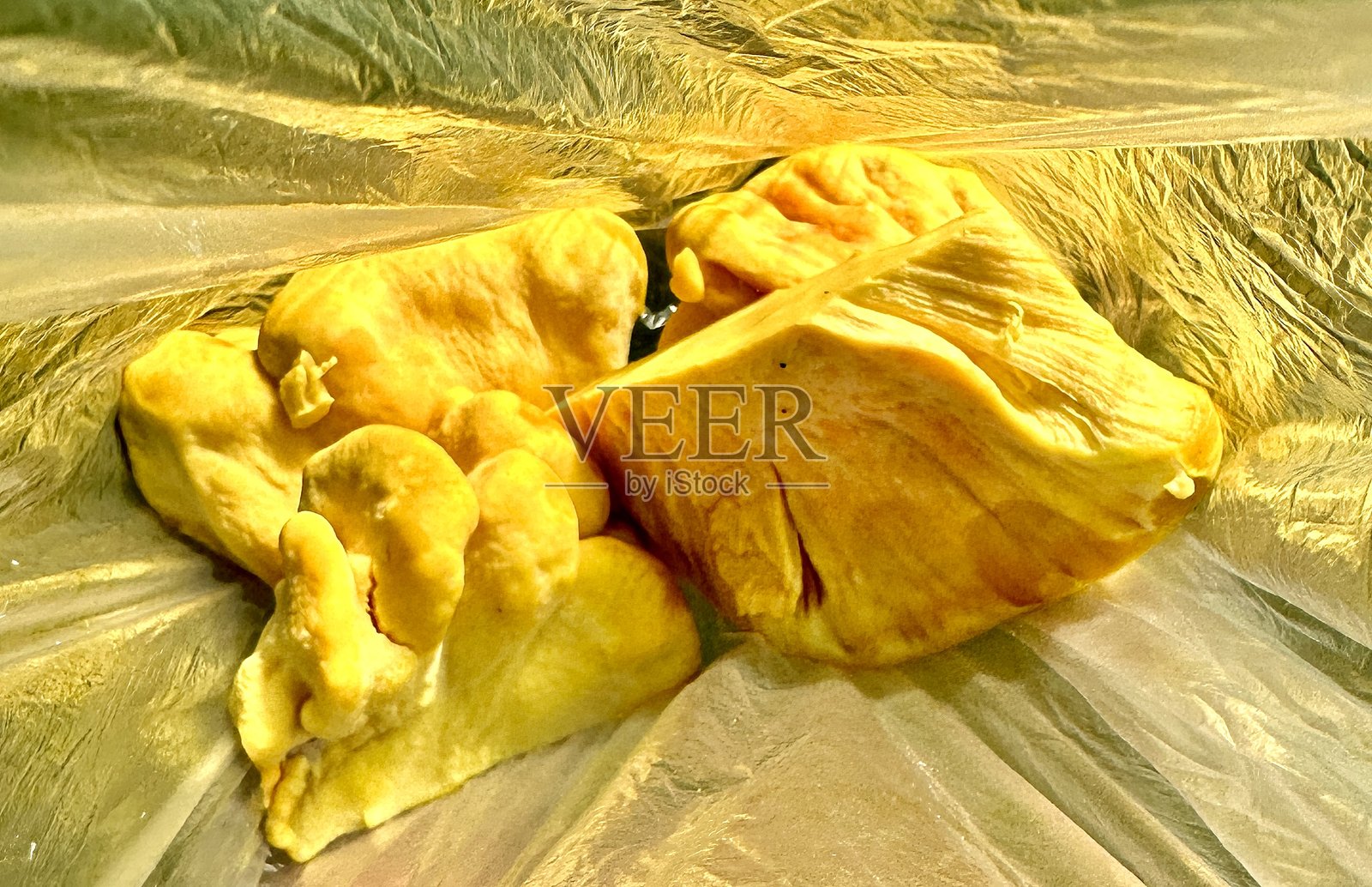 金色鸡腿菇照片摄影图片