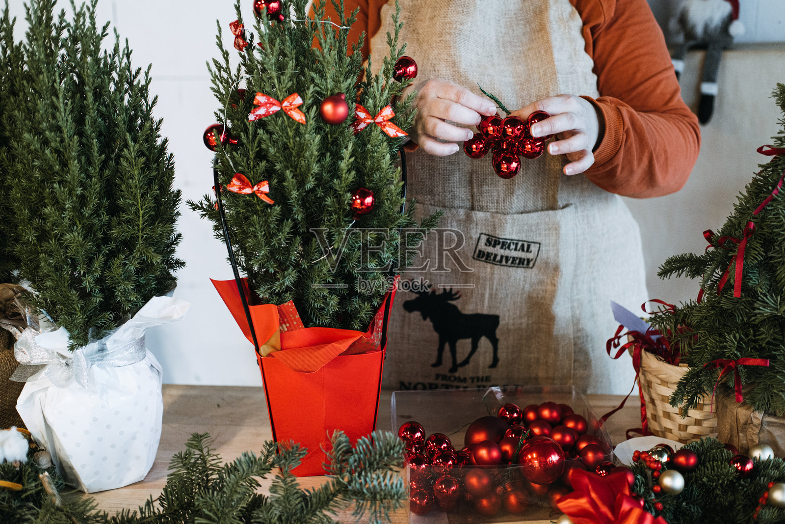 双手在装饰过的盆栽圣诞树上摆放饰品。DIY节日手工项目、节日工作坊和可持续圣诞趋势。照片摄影图片