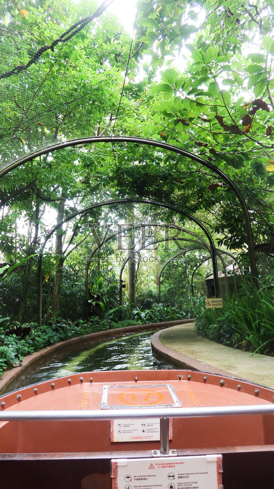 新加坡动物园的河流奇观照片摄影图片