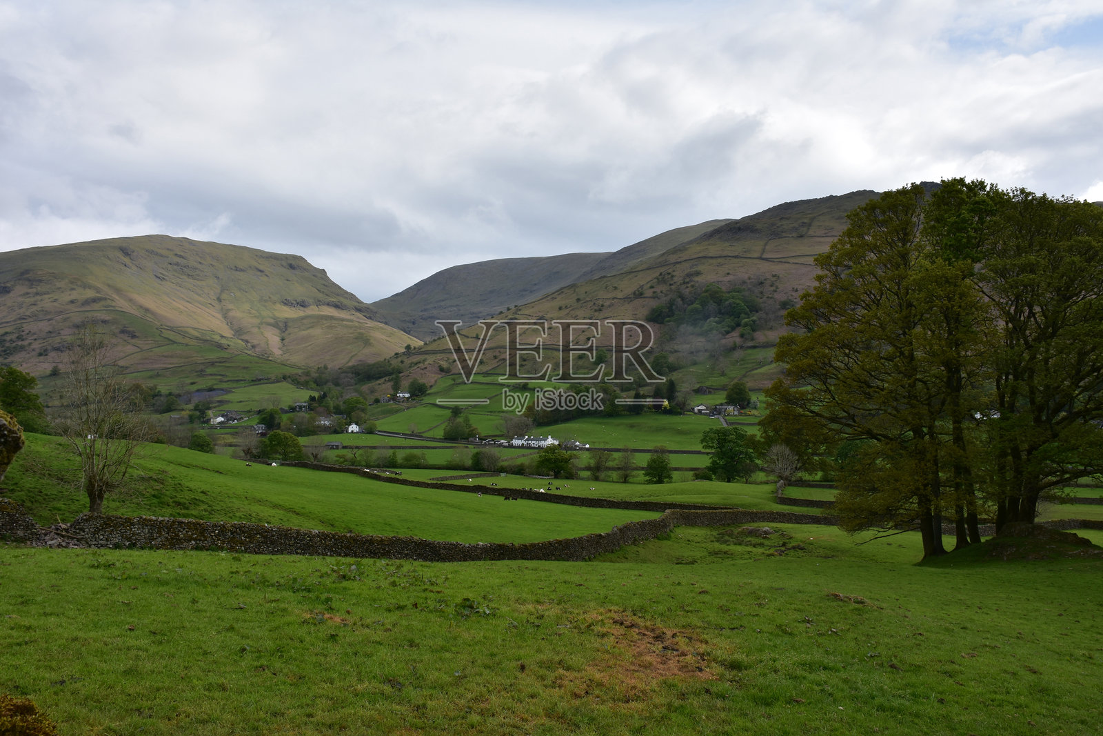用石墙围起的牧场和田野照片摄影图片