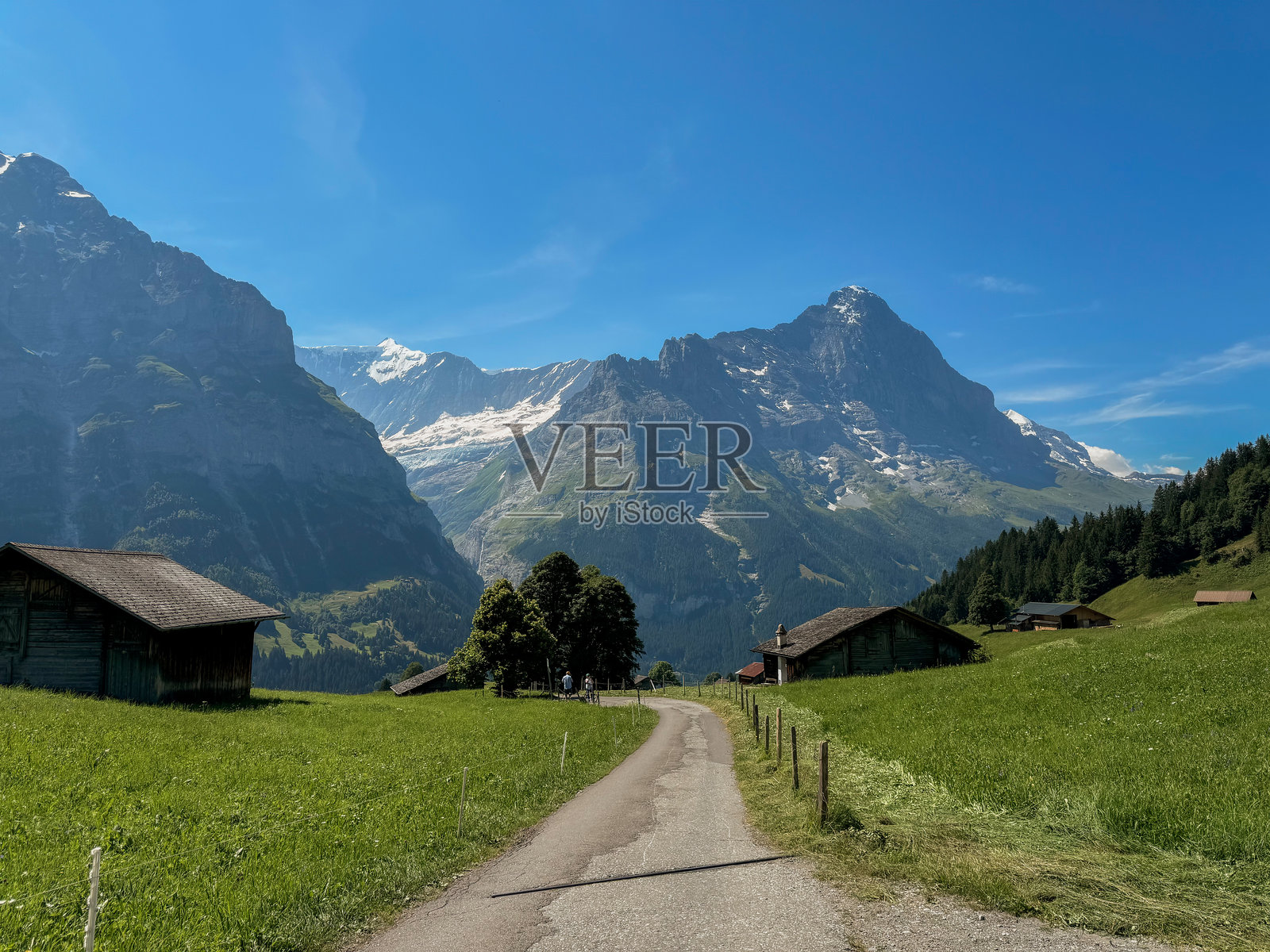 格林德瓦尔德的乡村风光照片摄影图片