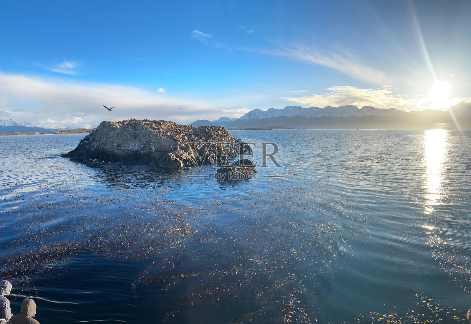 阿根廷巴塔哥尼亚的比格尔海峡照片摄影图片