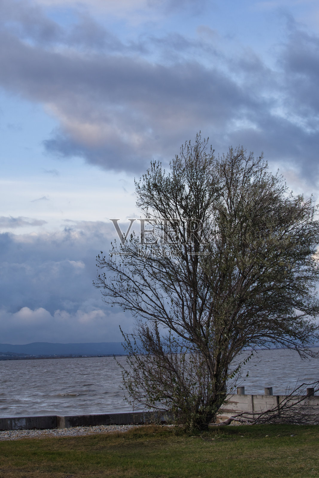 在Neusiedl湖的Seebad Illmitz附近照片摄影图片