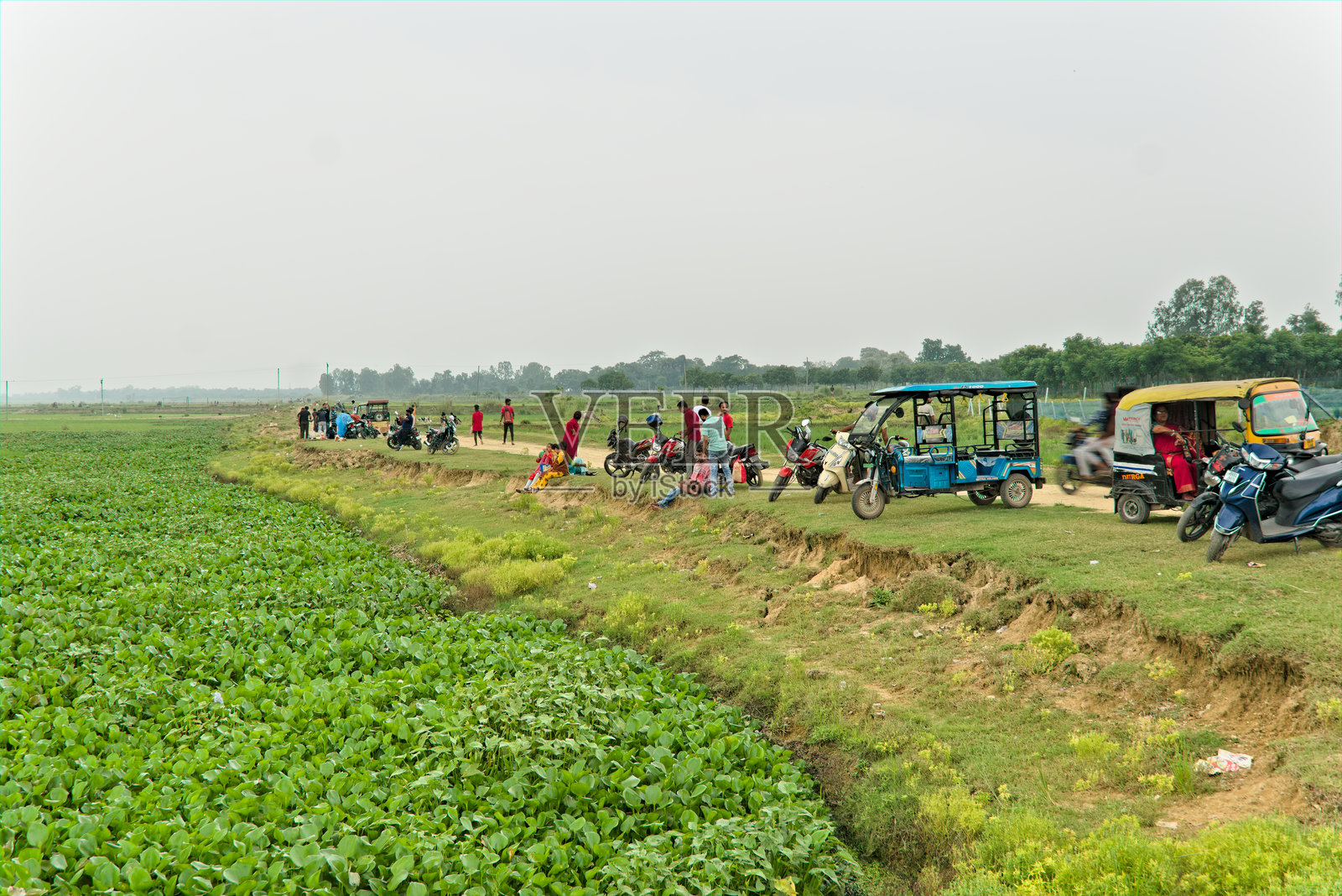 在印度，一群印度裔的人下午在天然的湿地或湖泊里度过他们的闲暇时光照片摄影图片