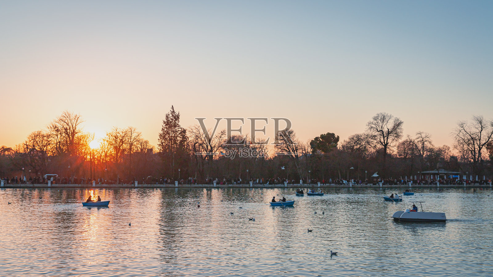 日落时分，在丽蒂罗公园的池塘里划船-马德里，西班牙。照片摄影图片