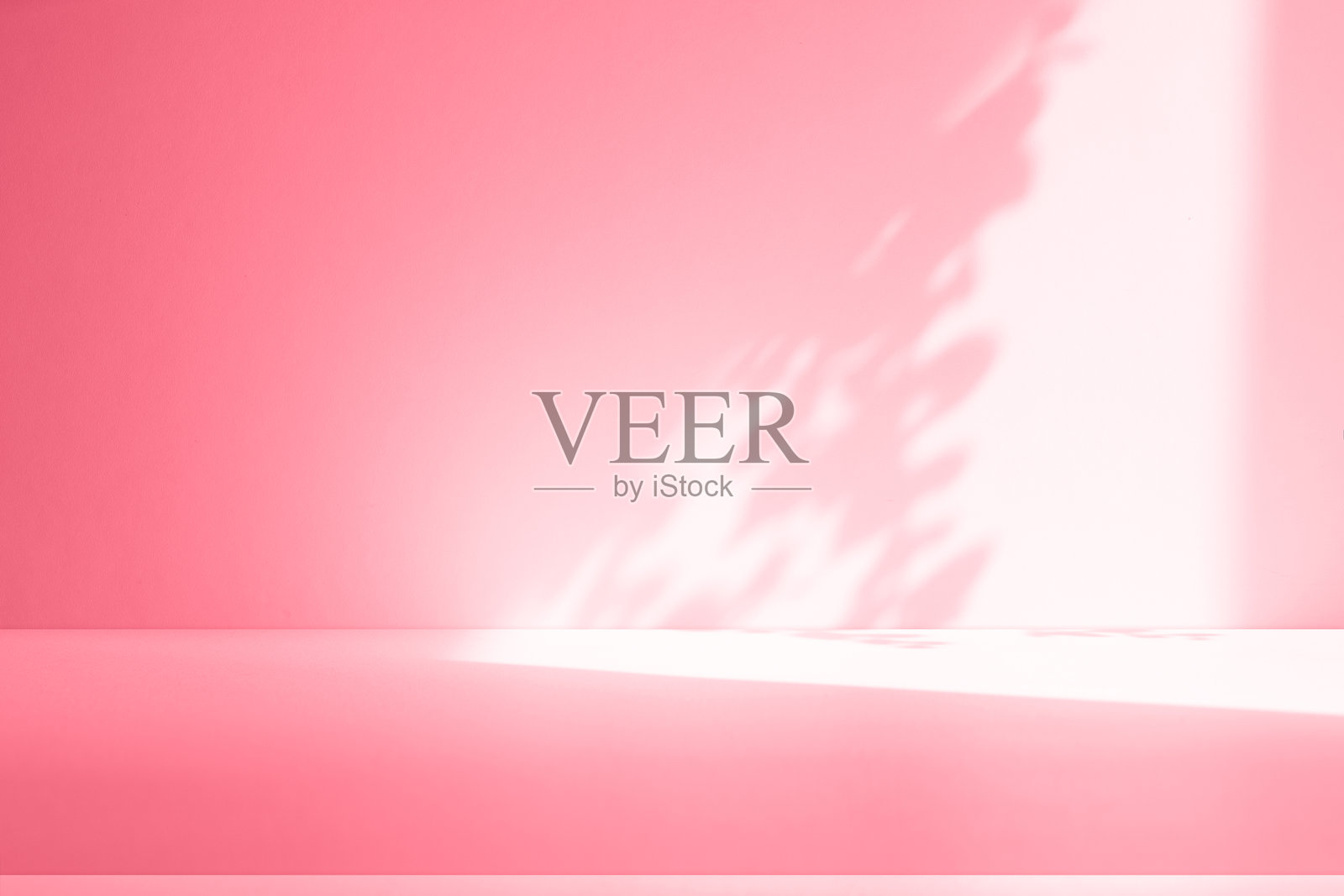 墙壁内部背景，工作室和背景显示产品。带阴影的窗户颜色白色和粉红色的光。文本插入和产品展示的背景照片摄影图片