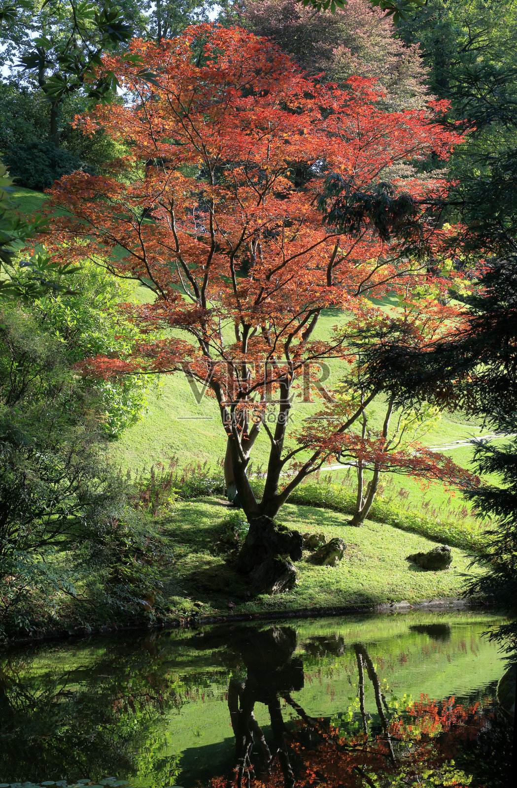 贝拉吉奥镇植物园照片摄影图片