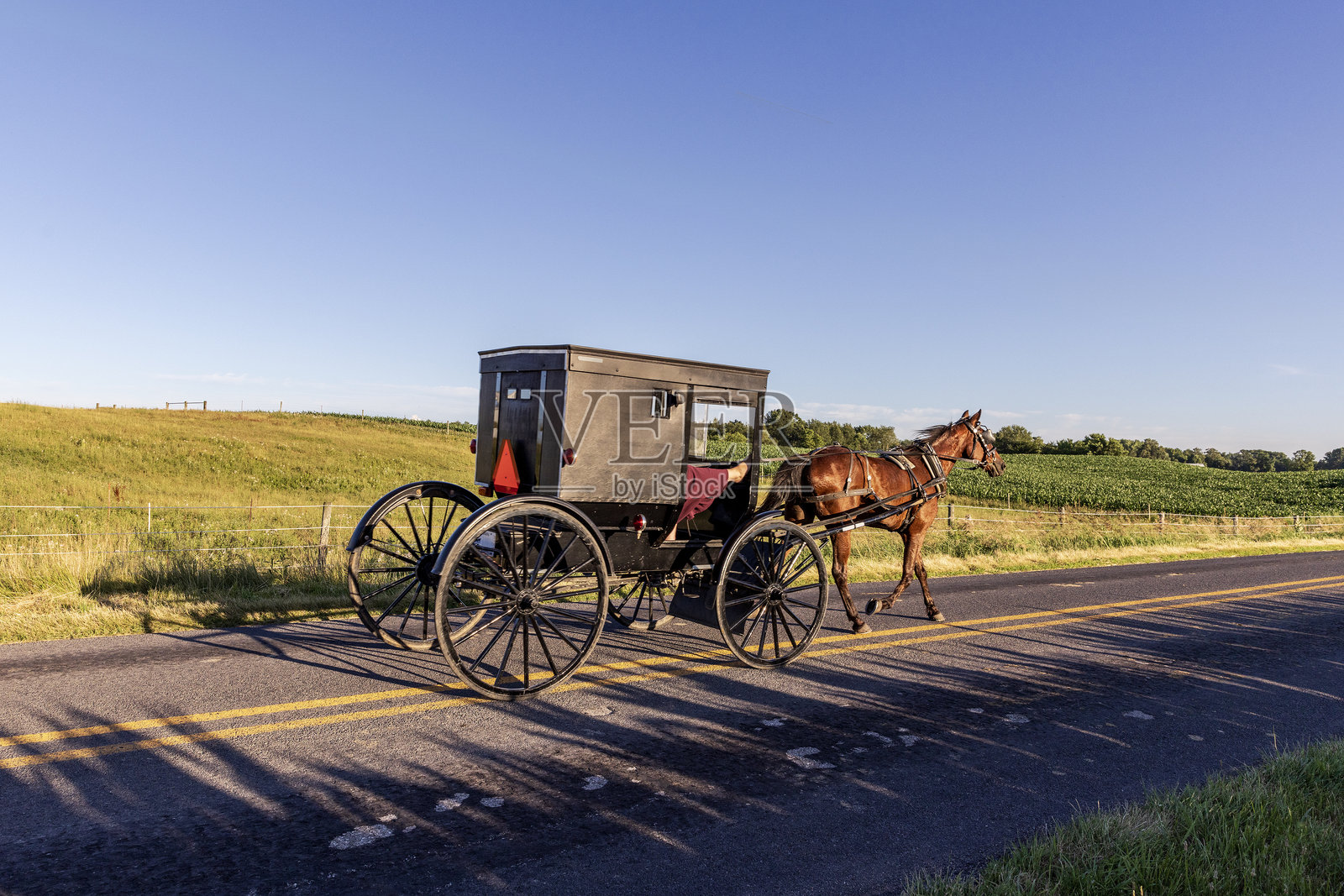印第安那乡村路上的阿米什马车照片摄影图片