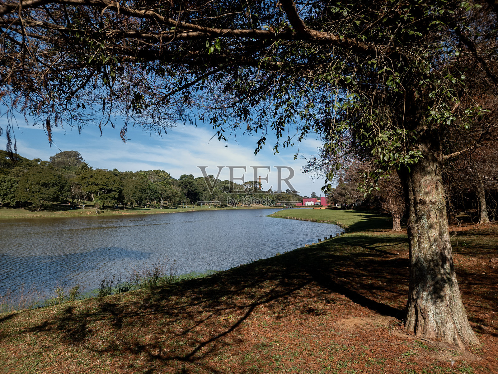 一个秋天的下午，库里蒂巴圣洛伦索公园的美丽全景照片摄影图片