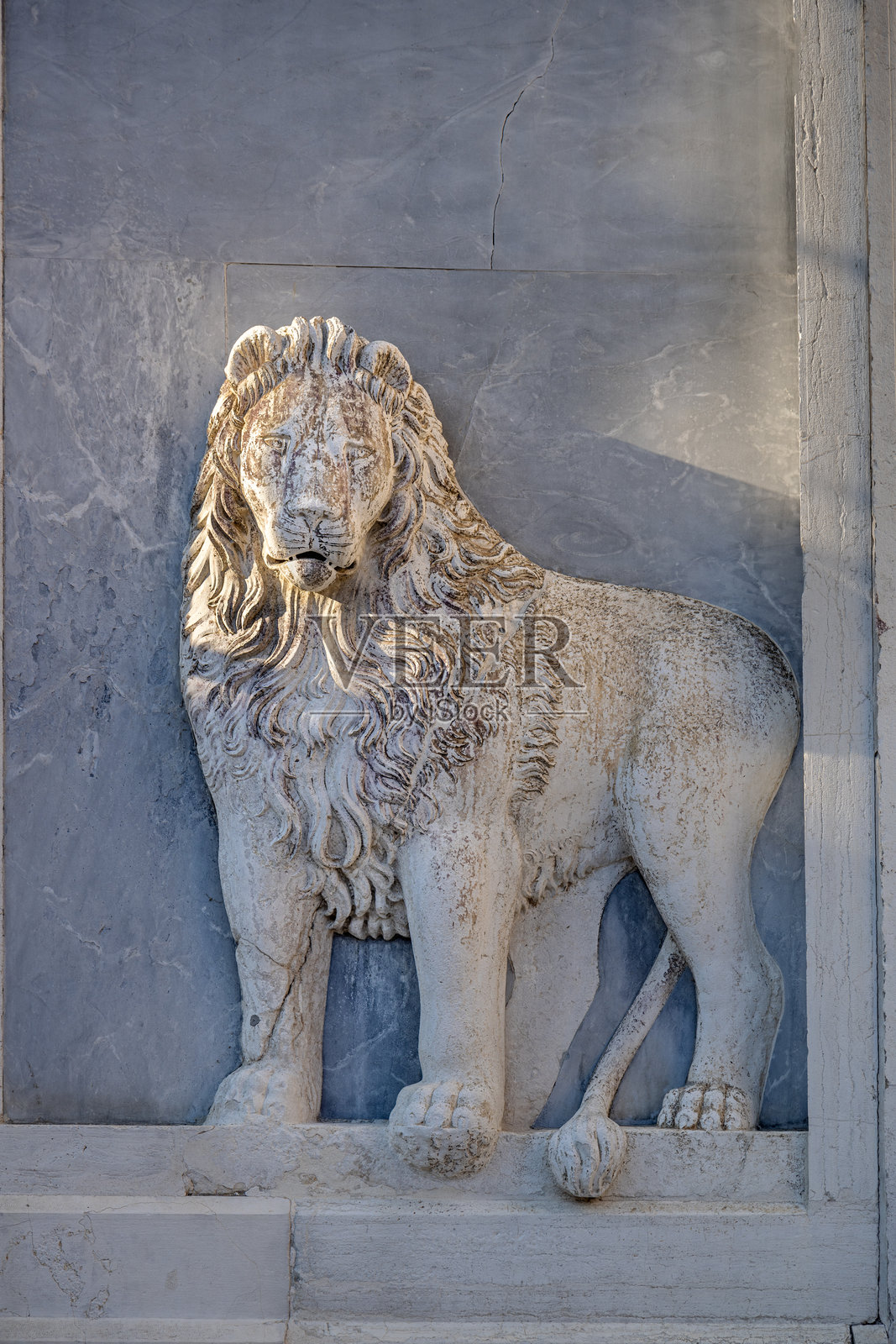 威尼斯正面的老大理石狮子雕像照片摄影图片