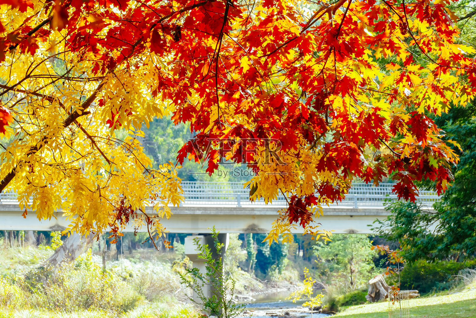 澳大利亚乡村小镇贾米森照片摄影图片