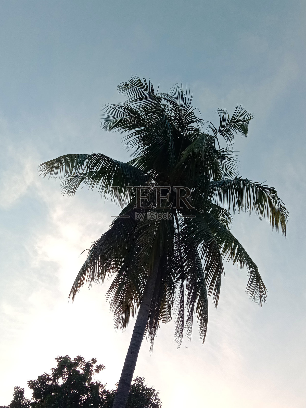 下午的天空多云照片摄影图片