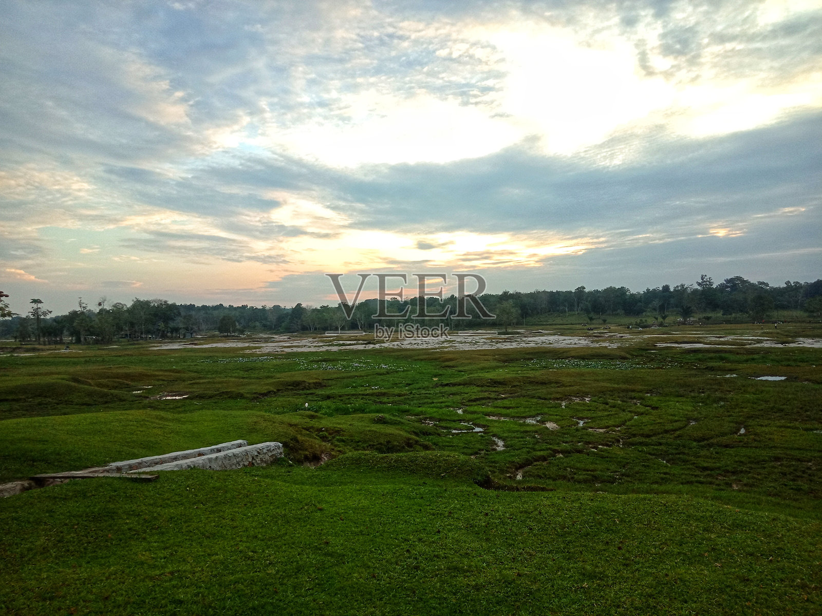 绿色的花园照片摄影图片