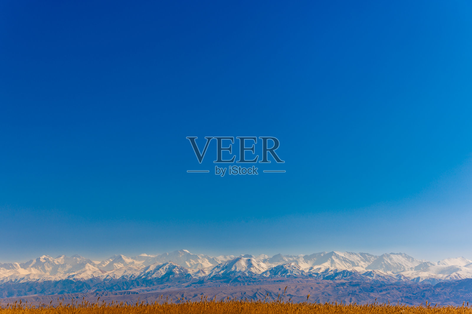 高高的干黄的草地在山前的秋日午后阳光明媚照片摄影图片