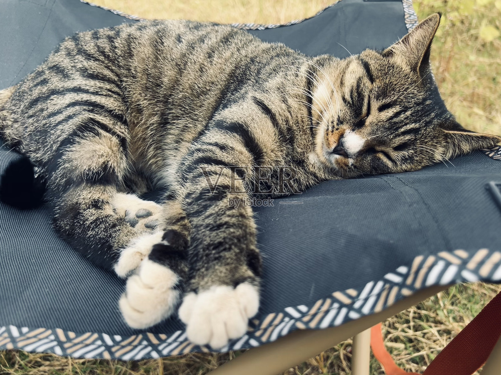 瞌睡照片摄影图片