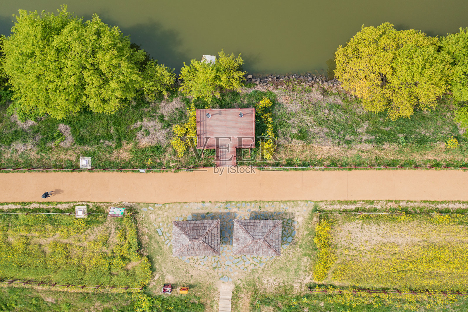 无人机拍摄的河滨油菜花景观照片摄影图片