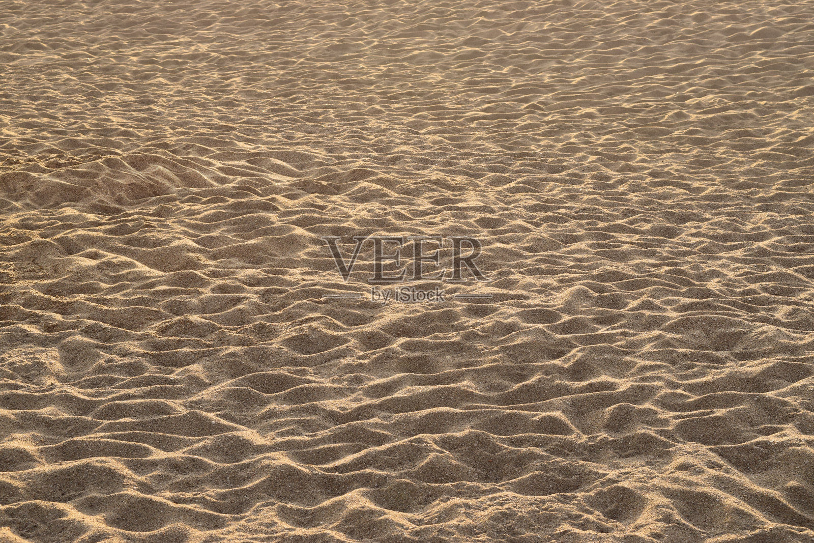 沙滩上形成的浮雕、纹理和有机图案照片摄影图片