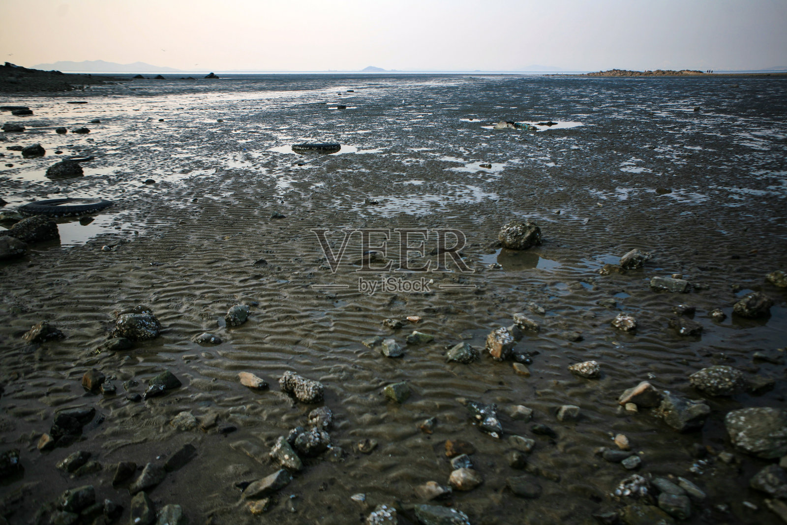 傍晚海边的湿地景观照片摄影图片