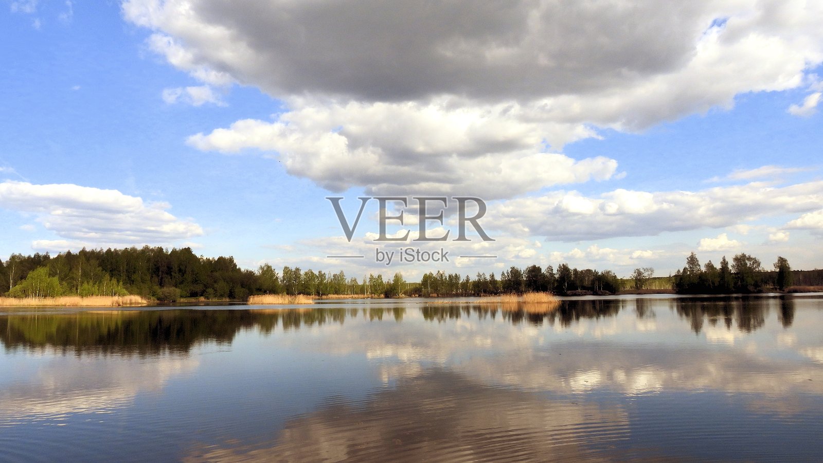 美丽的森林湖泊景色和日落时水中的倒影。照片摄影图片