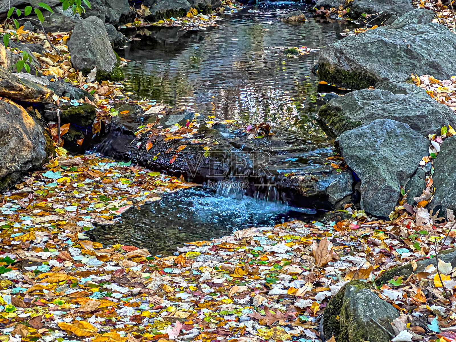 中央公园的秋天，小瀑布照片摄影图片