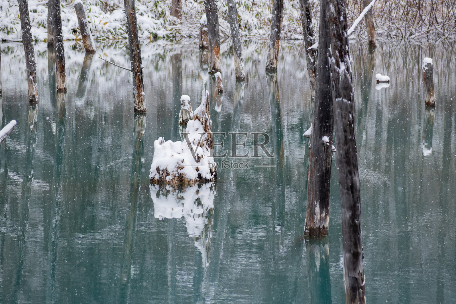 美瑛町的雪中蓝色池塘照片摄影图片