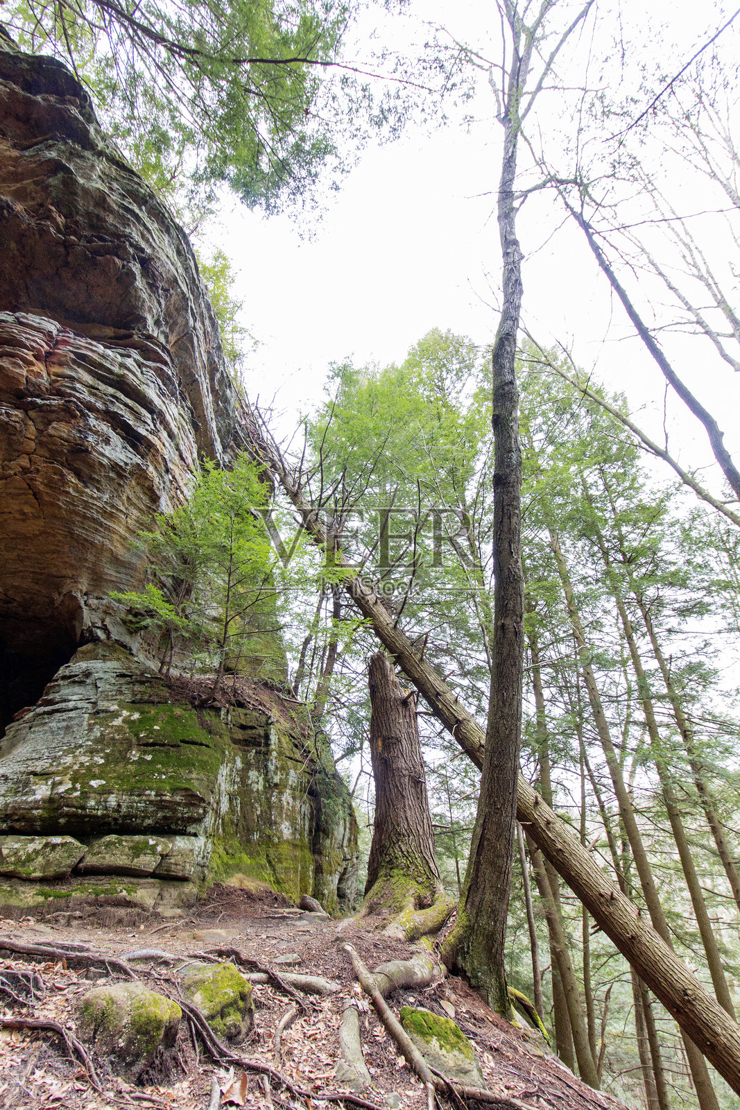 霍金山州立公园的低语洞穴，俄亥俄州照片摄影图片