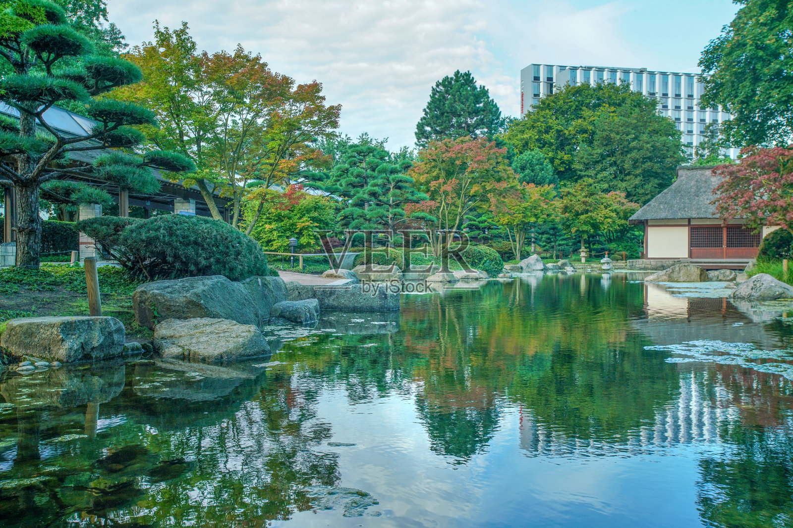 汉堡夏季的美丽日本花园照片摄影图片