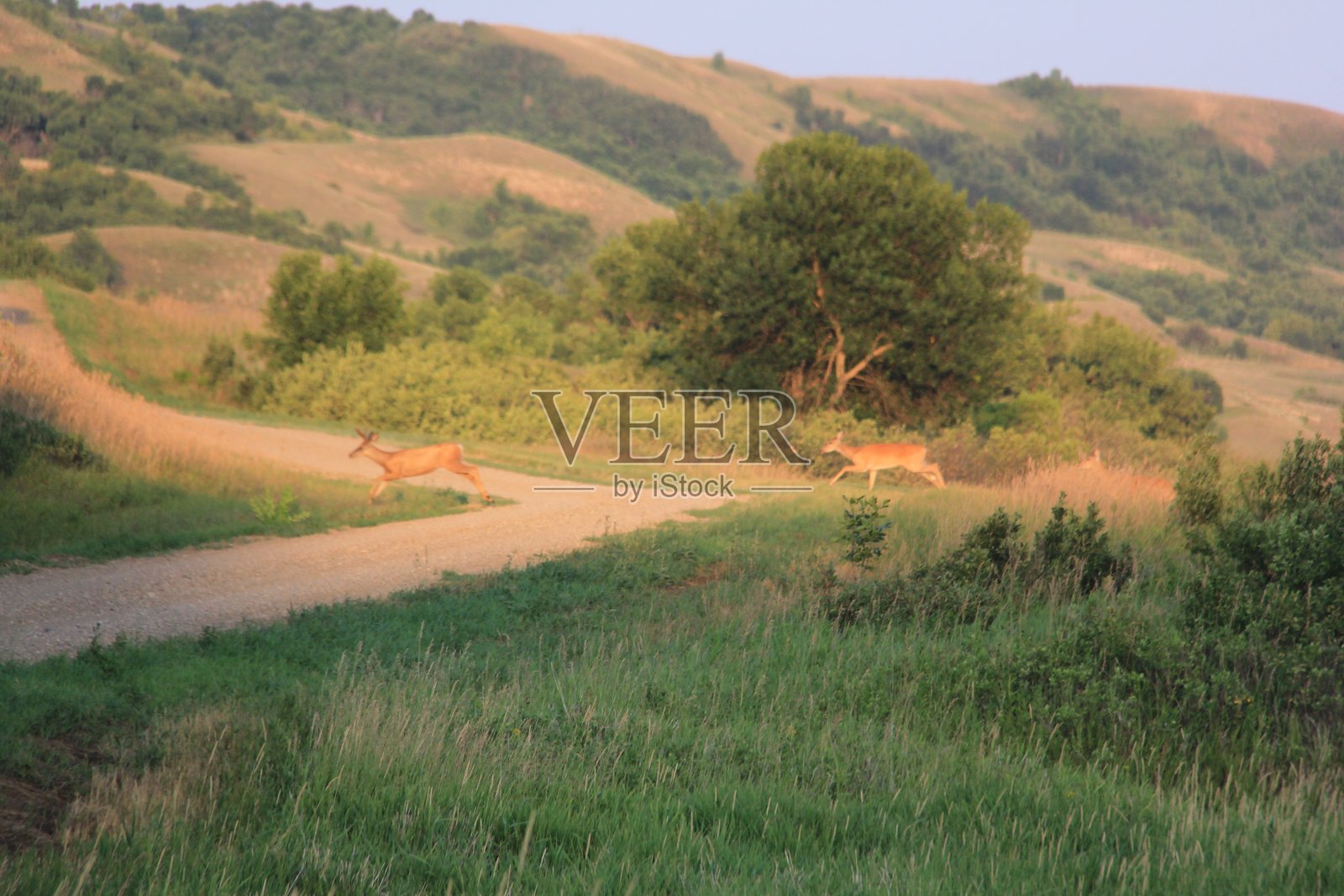 山谷中的傍晚天气与风景。照片摄影图片