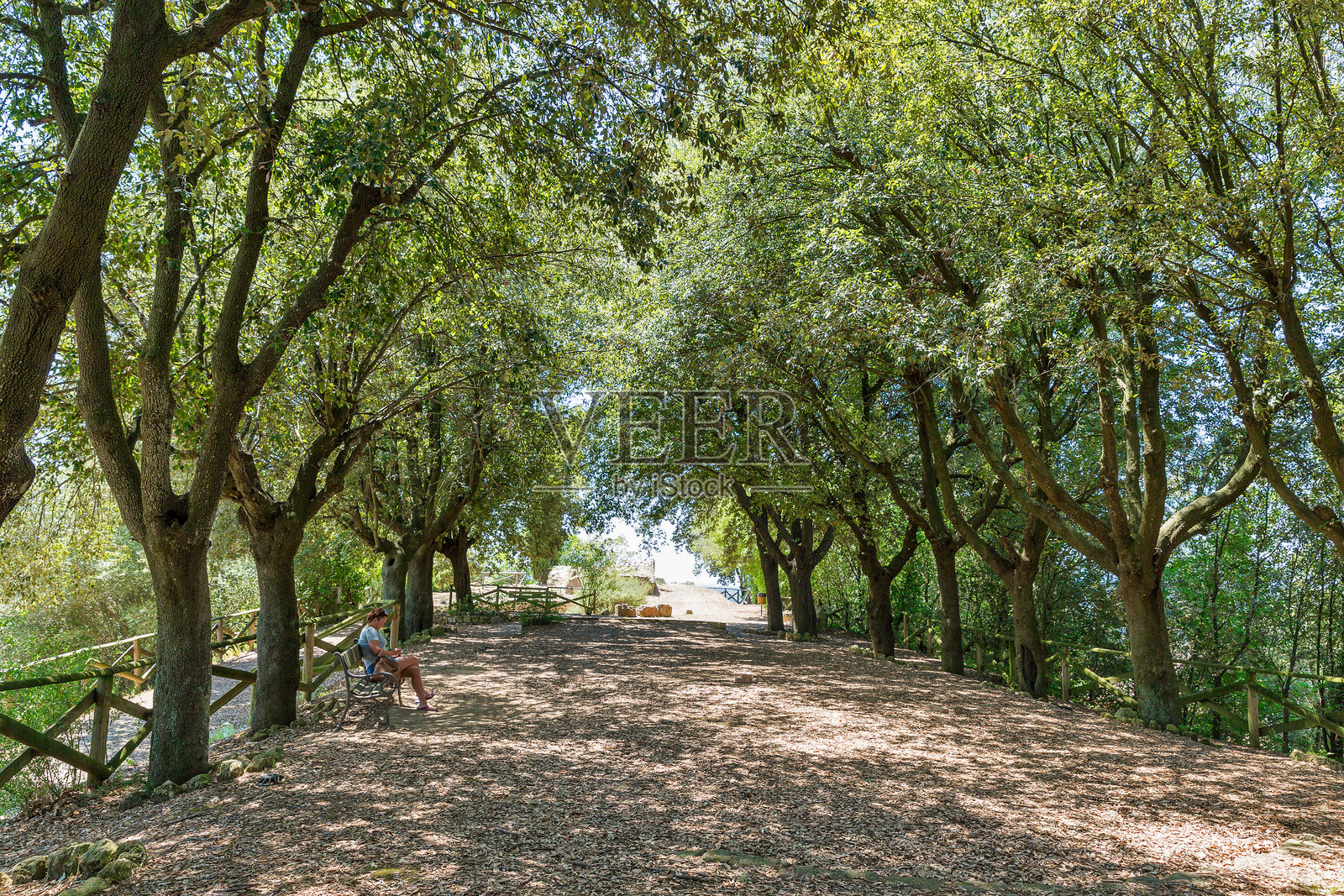 蒙托波利城堡山。意大利，托斯卡纳。照片摄影图片