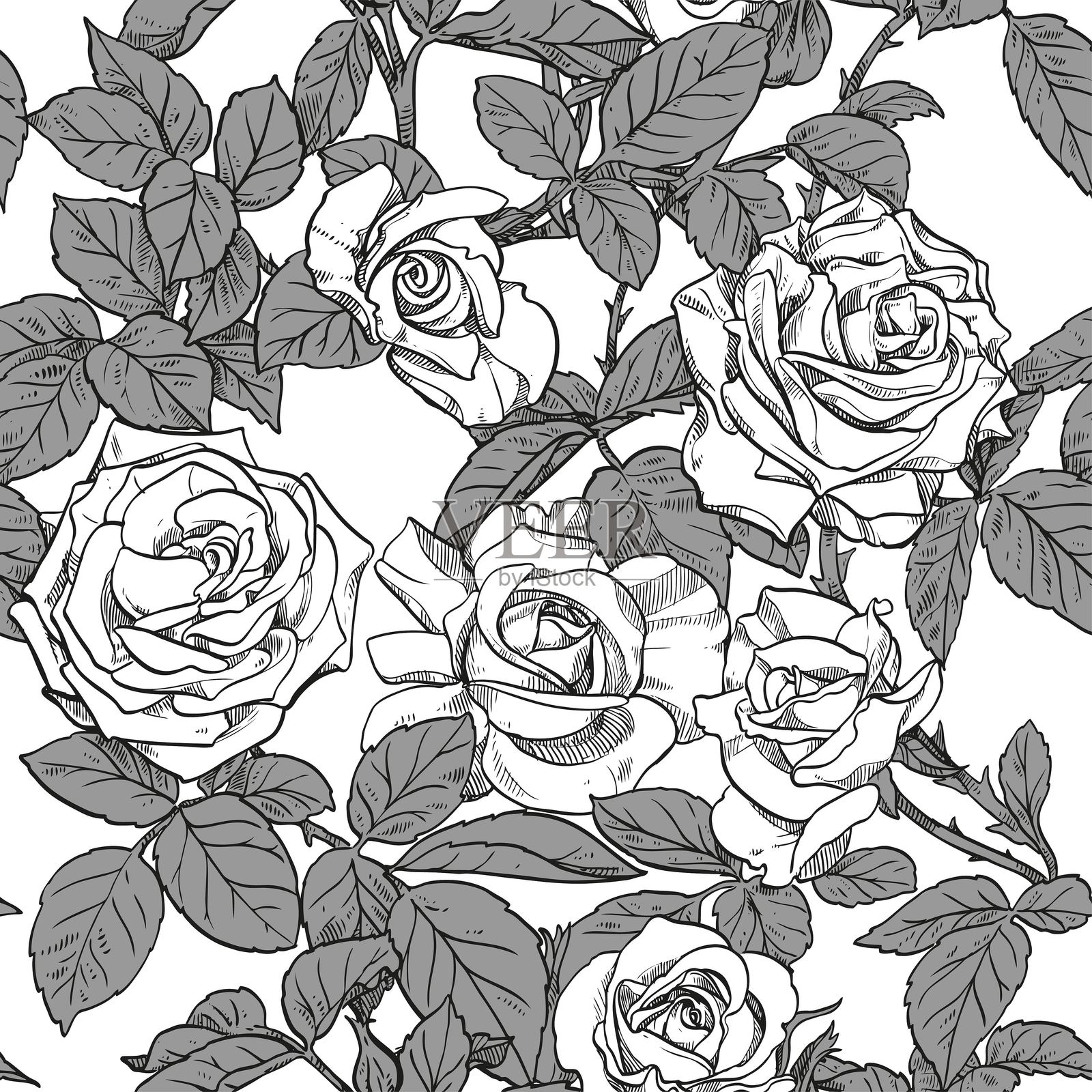 黑白玫瑰的无缝图案，背景为白色插画图片素材