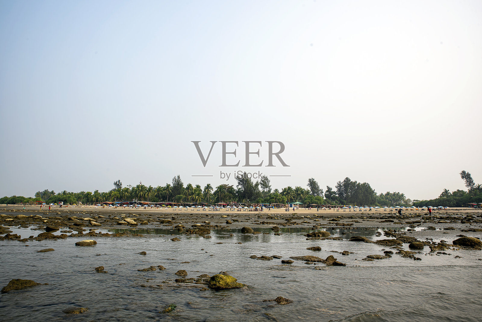 风景如画的海岸景观，岩石、植被和晴朗的天空地平线照片摄影图片