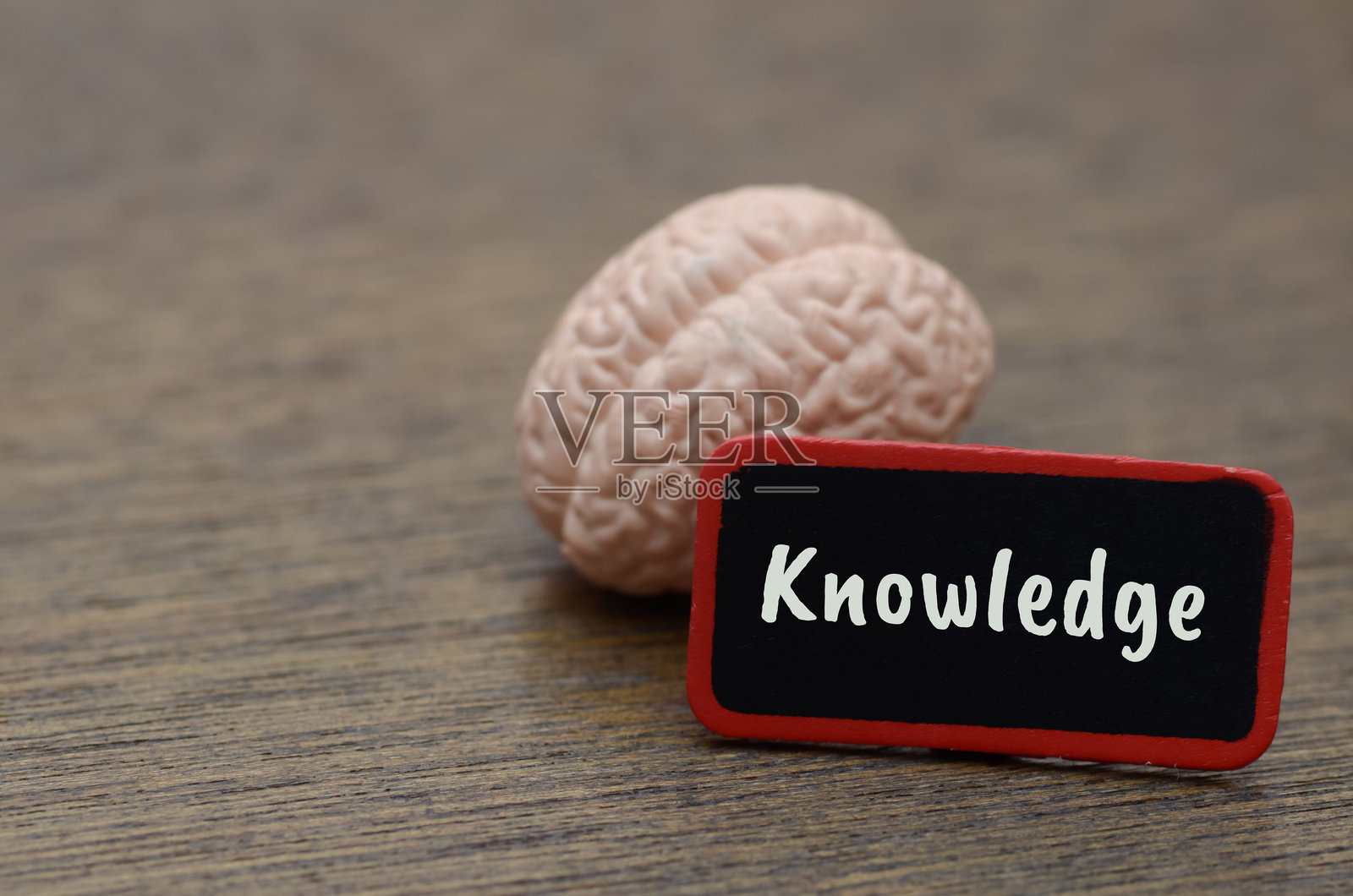 人脑模型位于一个红色框架的标志后面，上面写着“知识”，象征着大脑在学习、智力和信息处理中的核心作用。照片摄影图片