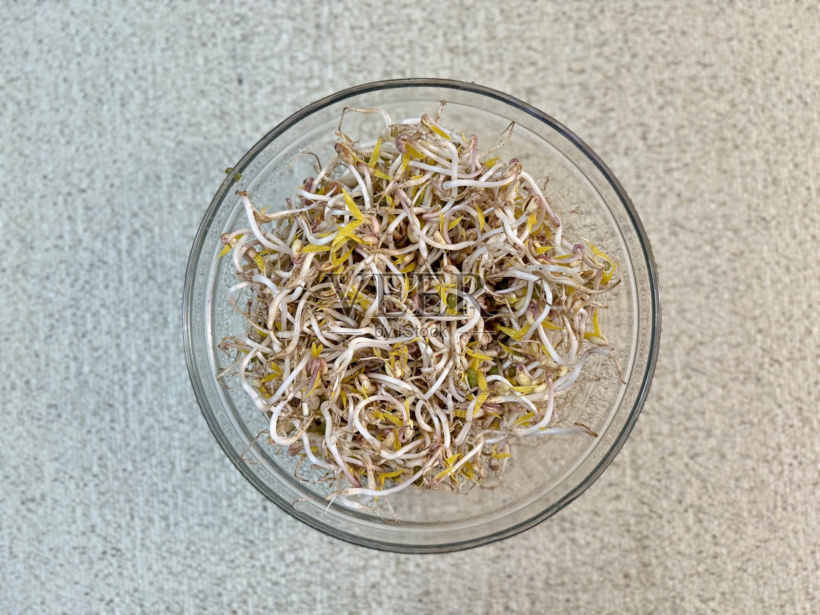 微型绿植。玻璃碗中的发芽绿豆，绿色绿豆放在桌子上。鲜嫩的幼苗。健康的素食食品。特写。照片摄影图片