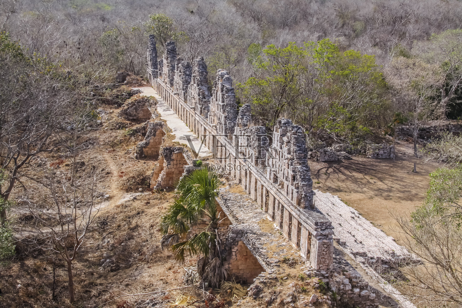 鸽子之家，乌克斯马尔考古区，尤卡坦，墨西哥。照片摄影图片