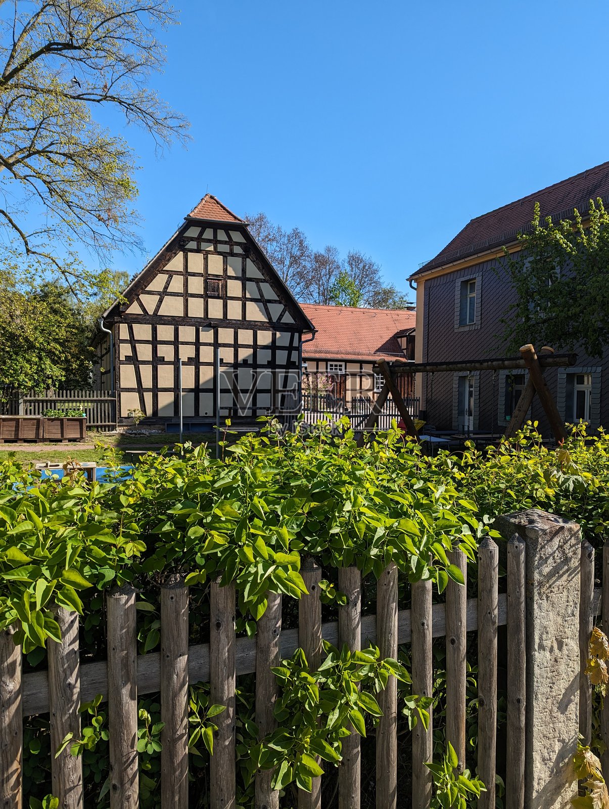 德国的牧场照片摄影图片