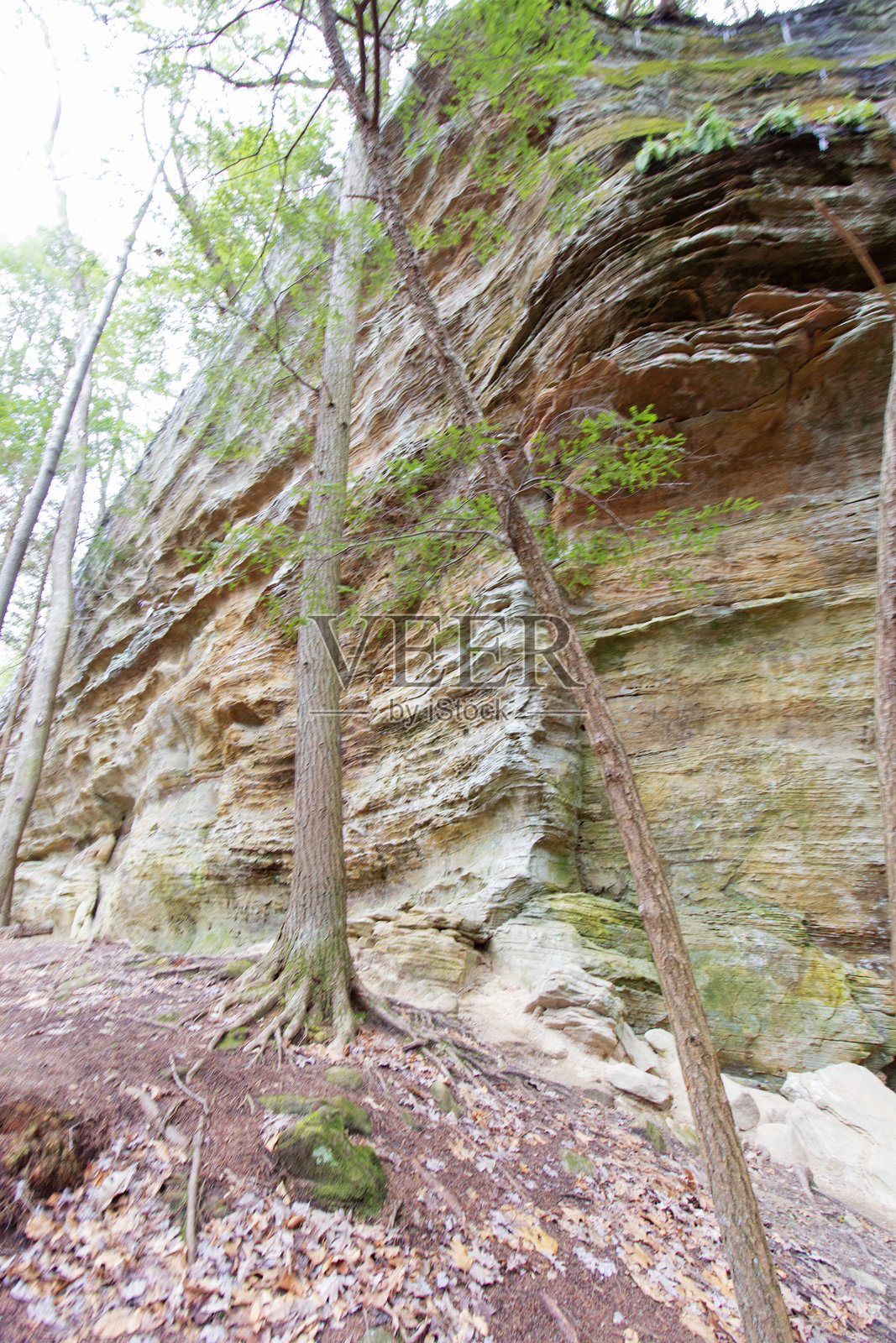 霍金山州立公园的低语洞穴，俄亥俄州照片摄影图片