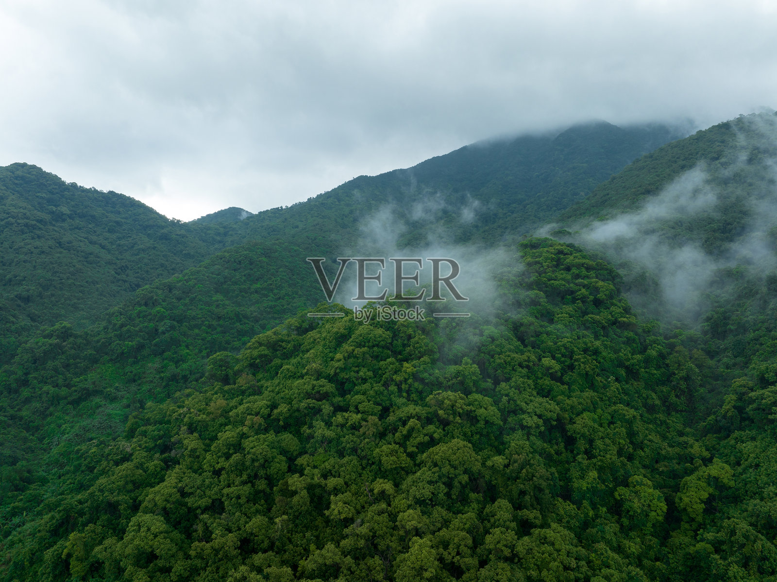 鸟瞰美丽的森林山景照片摄影图片