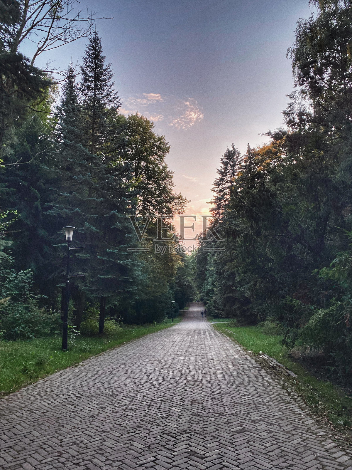 公园的中心小巷Śląski。照片摄影图片