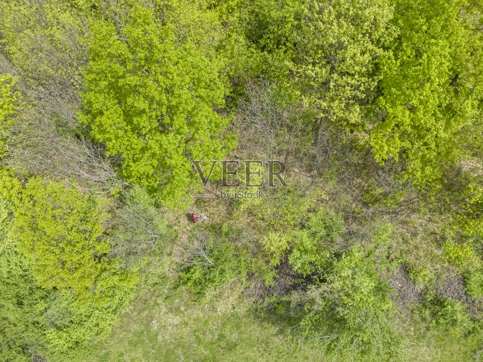 欧洲乡村的春季假期照片摄影图片