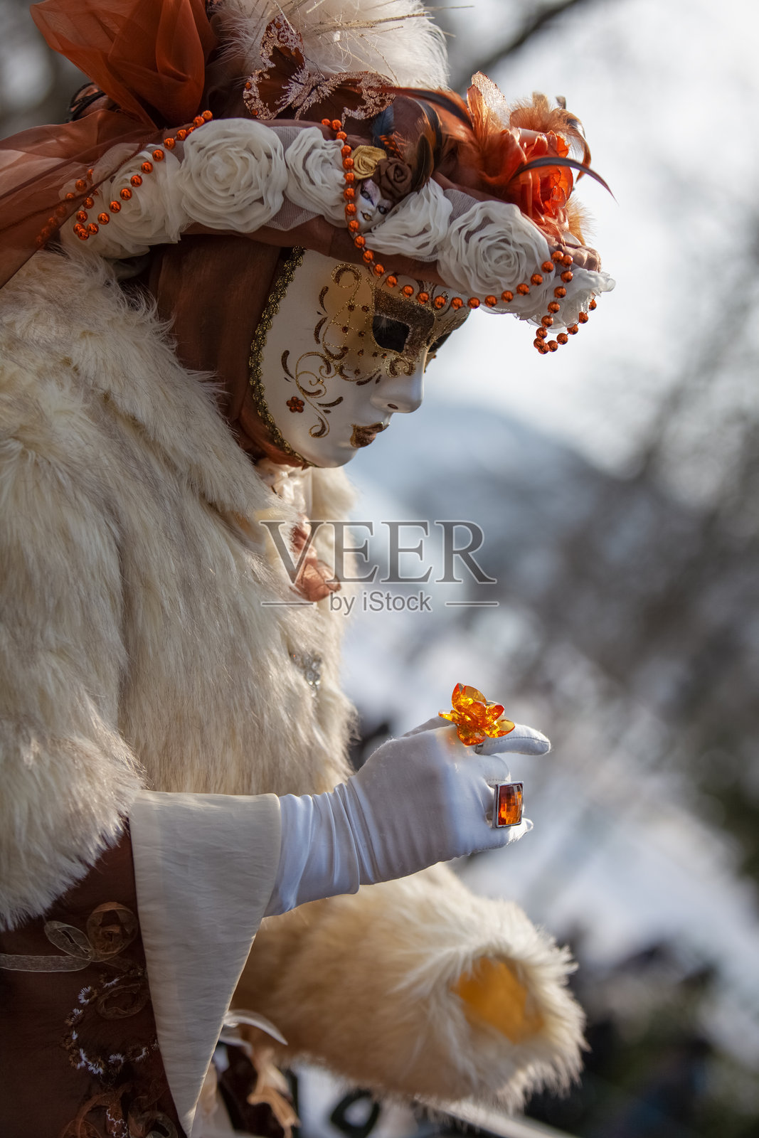 伪装的人 - 2013年安纳西威尼斯狂欢节照片摄影图片