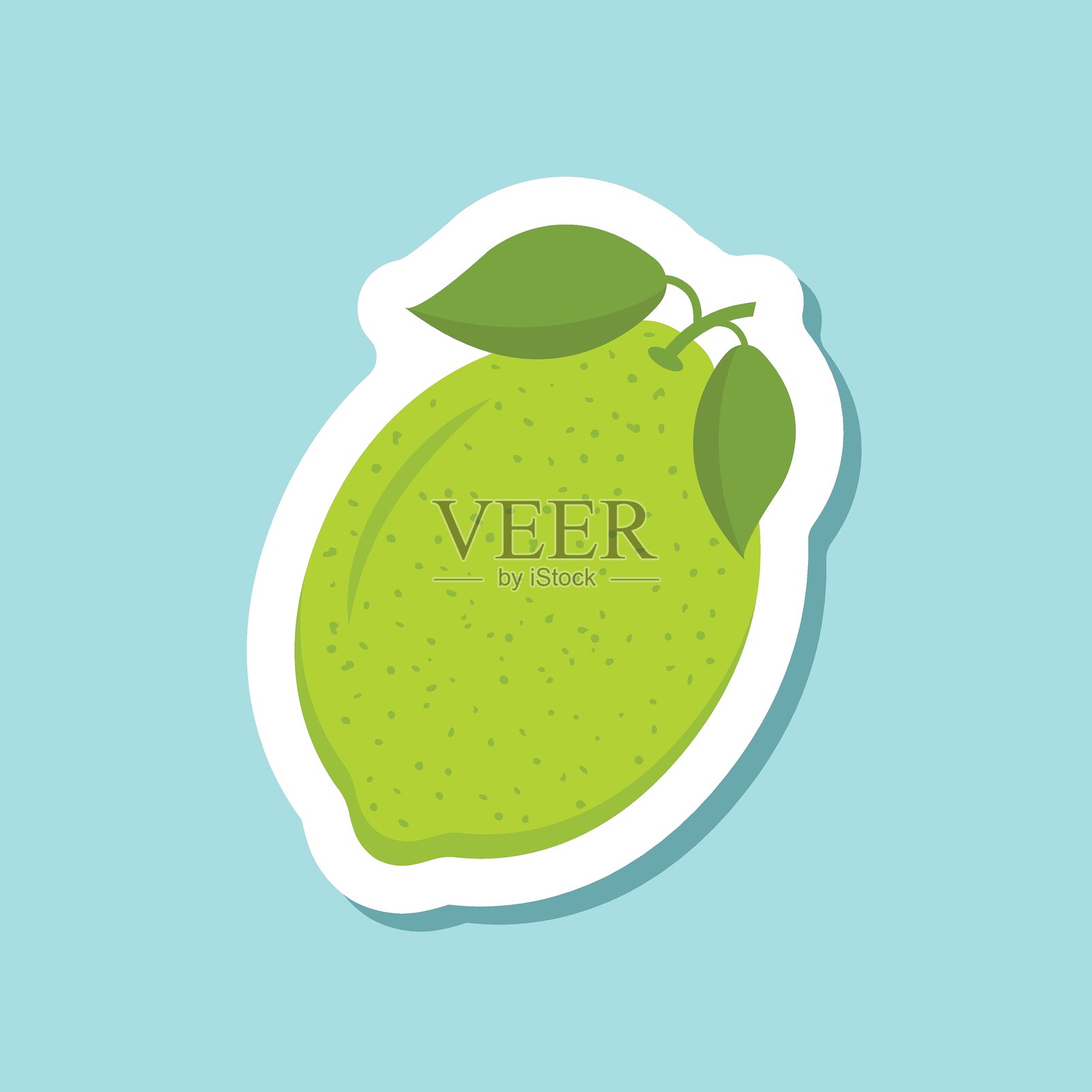 平面风格的青柠水果贴纸图标。孤立背景上的有机水果矢量插图。维生素C食品标志商业概念。插画图片素材