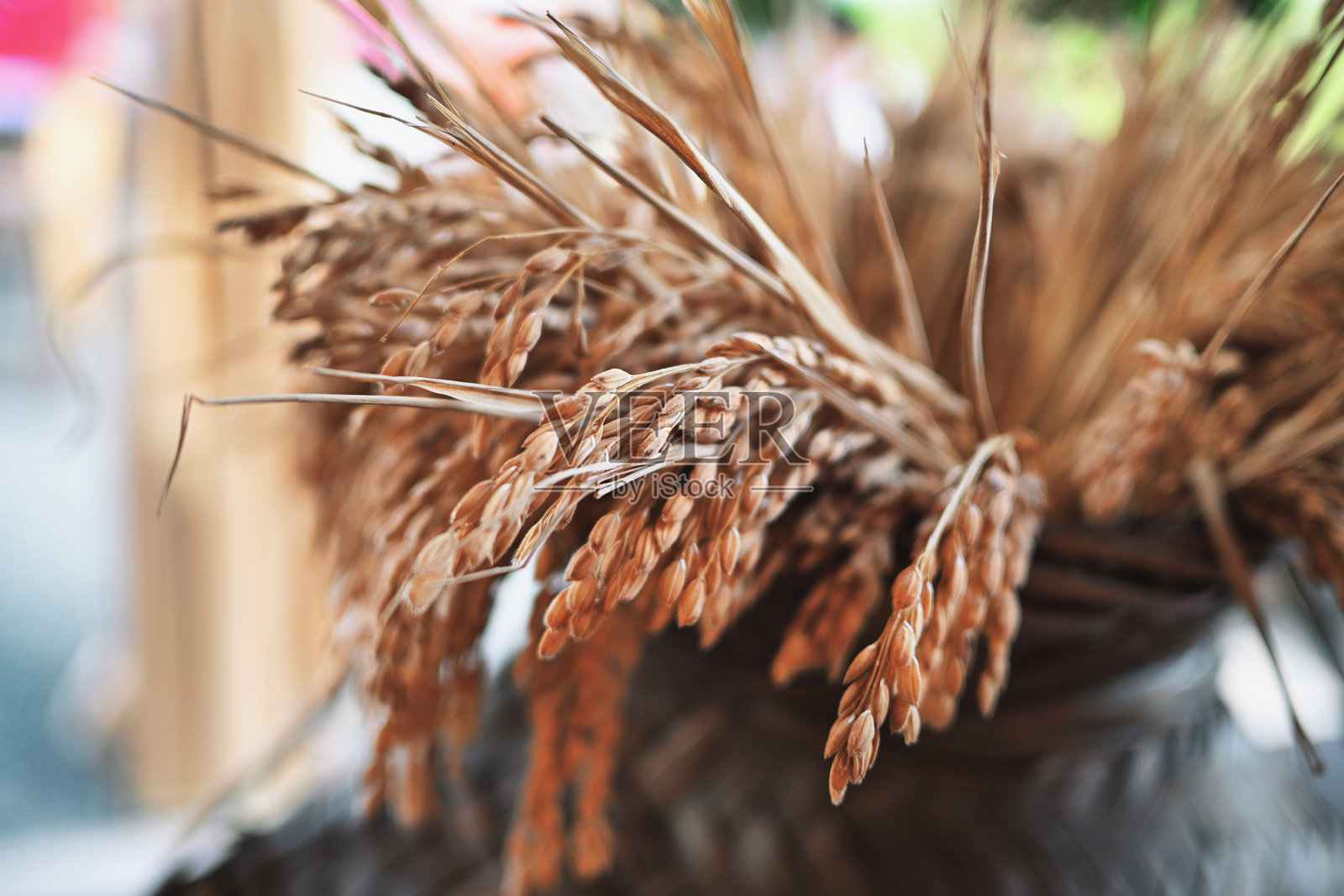 乡村篮子里的金色稻穗特写照片摄影图片